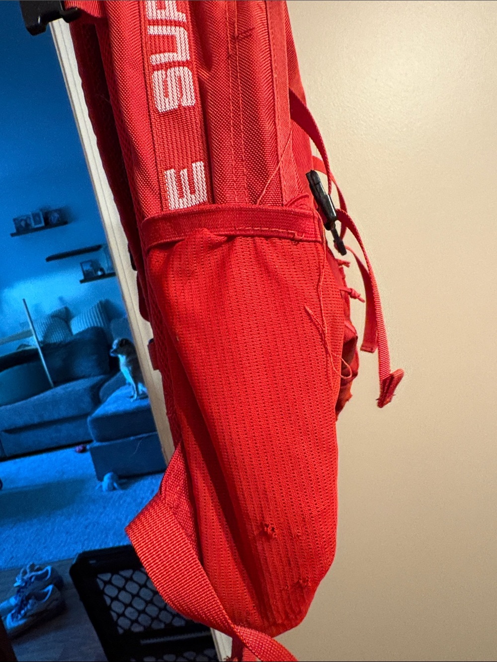 Supreme Red Backpack with Logo - Picture 4 of 4